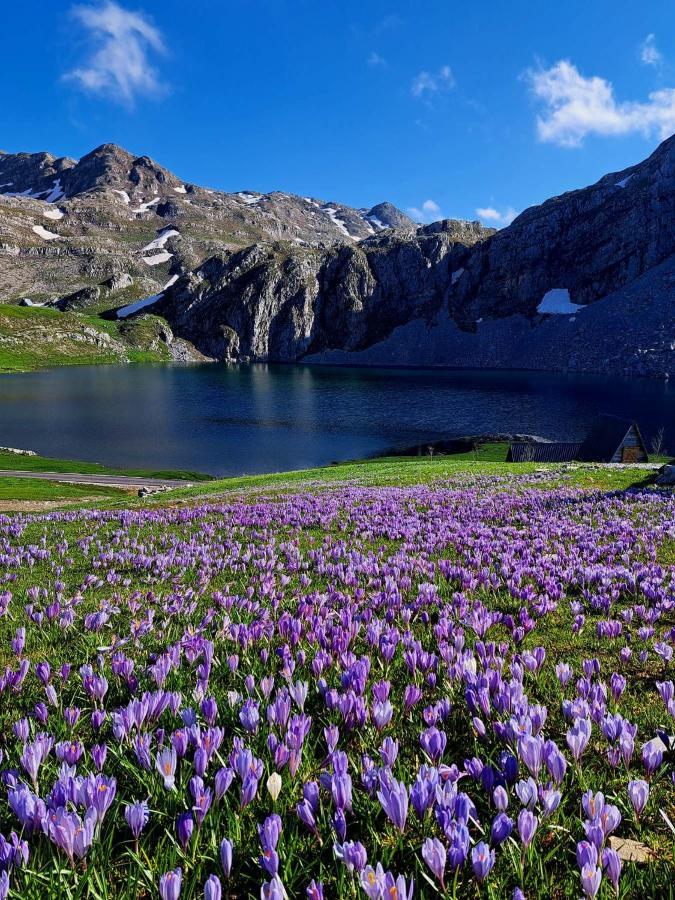 Kapetanovo Jezero, Mountain Cottage Captain'S Lake 콜라신 외부 사진